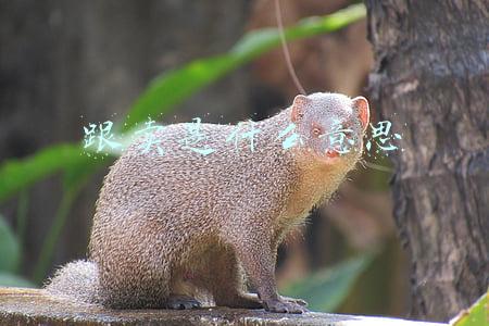 卖是啥意思(小小说：交易)