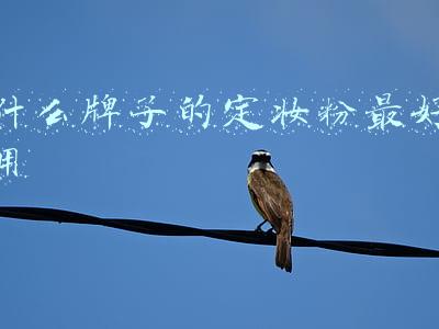什么牌子的定妆粉最好用