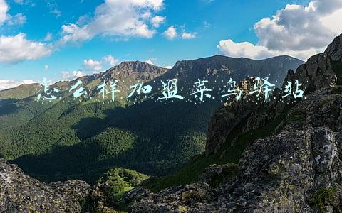 怎么样加盟菜鸟驿站