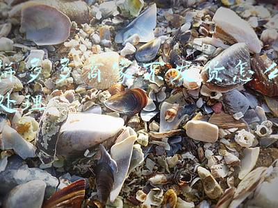 拼多多商家不发货怎么处理