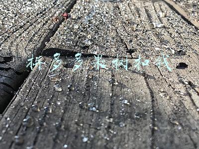 拼多多种树扣钱(拼多多的多多果园真的能免费领取到水果吗？网友：满满的都是套路)