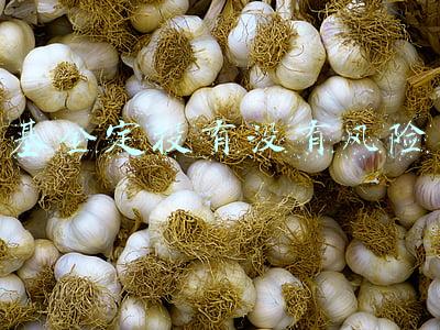 基金定投有没有风险