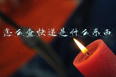 怎么查快递是什么东西
