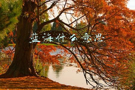 蓝海什么意思
