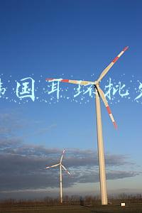 韩国耳环批发