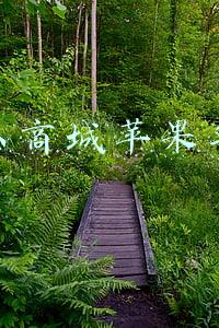 京东商城苹果手机
