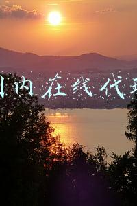国内在线代理