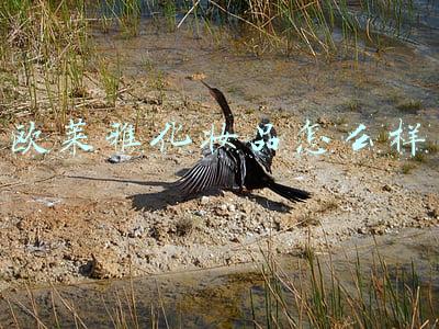 欧莱雅化妆品怎么样