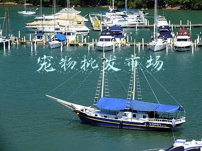 宠物批发市场