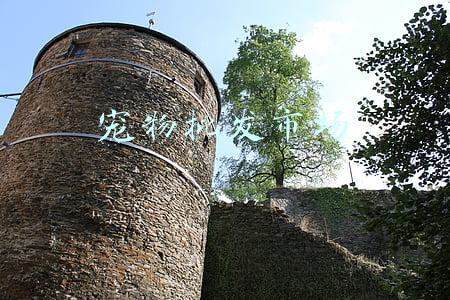宠物批发市场