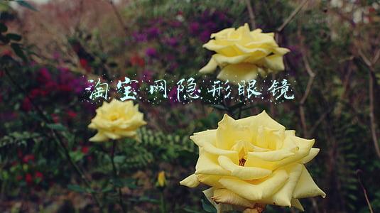 淘宝网隐形眼镜