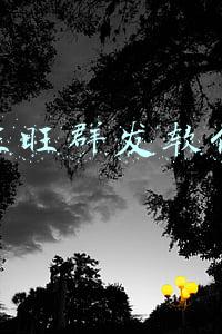 旺旺群发软件