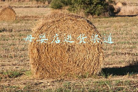 母婴店进货渠道