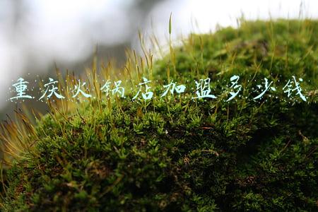 重庆火锅加盟费多少(正宗重庆火锅加盟费需要多少钱啊？)
