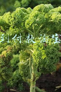 速勃增粗增强喷剂货到付款淘宝网(夫妻生活时间短该如何延长)