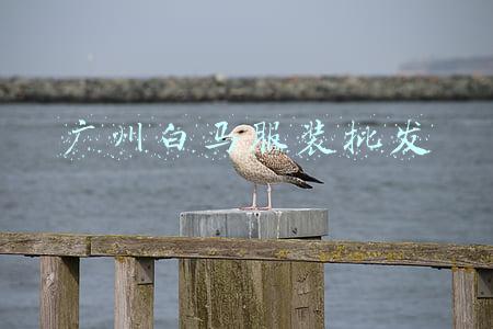 广州白马服装批发