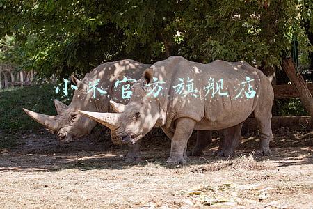 小米官方旗舰店