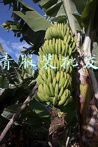 四季青服装批发市场