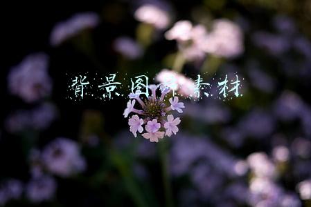 背景图片素材高清(120张精选高清背景图，实习生PPT做得飞快！同事羡慕，老板惊呆)