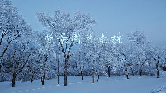 背景图片素材
