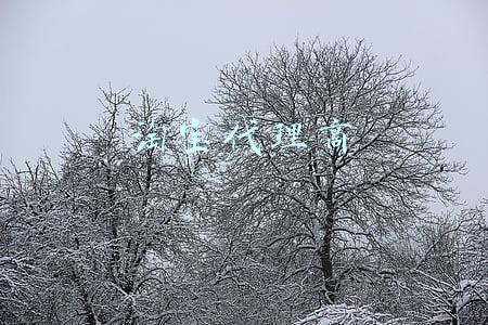 淘宝代理商