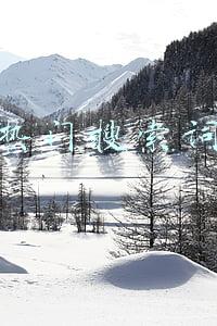 热门搜索词 热门搜索词