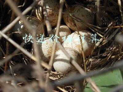 快递价格计算