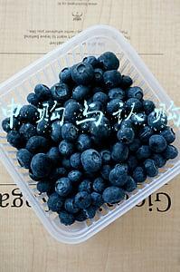 申购与认购有什么区别(初学买基金，认购和申购有啥区别？)