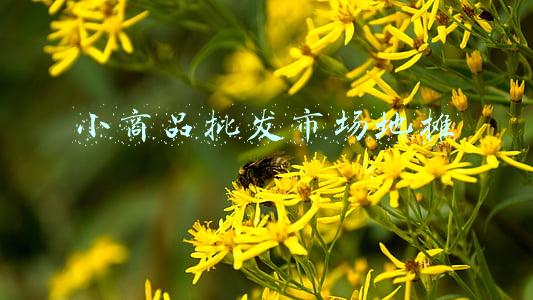 小商品批发市场地摊
