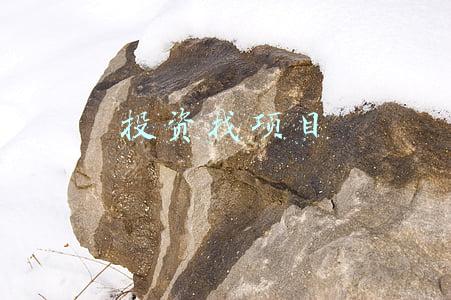 投资找项目 投资找项目