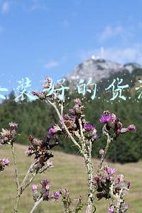 女装好的货源