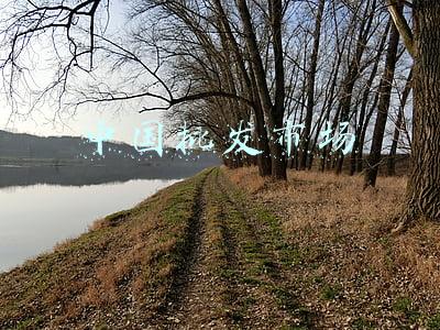 中国批发市场