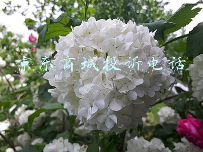京东商城投诉电话95518(最全常用急救电话大全来咯！超实用速收藏！)