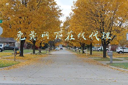 免费网页在线代理