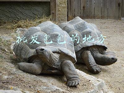 批发包包的地方