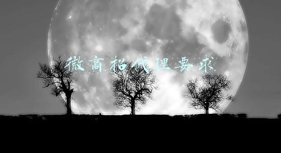 微商招代理要求 微商招代理要求