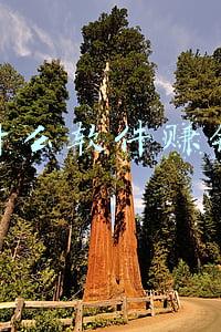 苹果什么软件赚钱最快