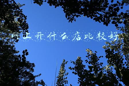 网上开什么店比较好