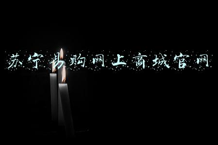 苏宁易购网上商城官网