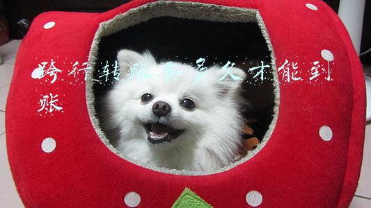 ATM跨行转账要多久才能到账(ATM机跨行转账多久到账？限额多少？)