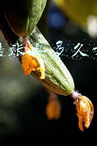 农信社跨行转账要多久才能到账(昌乐农商行智E通，随时给你温暖)
