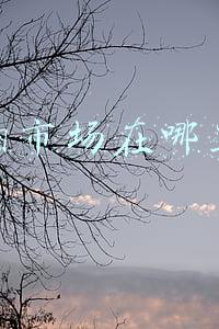 狗市场在哪里