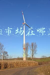 狗市场在哪里