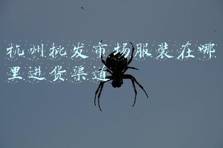 杭州批发市场服装在哪里进货渠道 杭州批发市场服装在哪里进货渠道