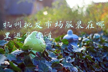 杭州服装批发市场在哪里进货便宜(女人们的快乐源泉！价格实在还能定制，杭州这个老牌小商品市场，你去逛过吗)