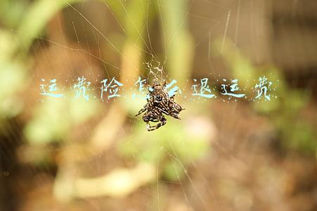 运费险怎么退运费