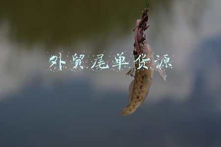 外贸尾单货源