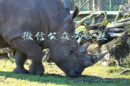微信公众号粉丝