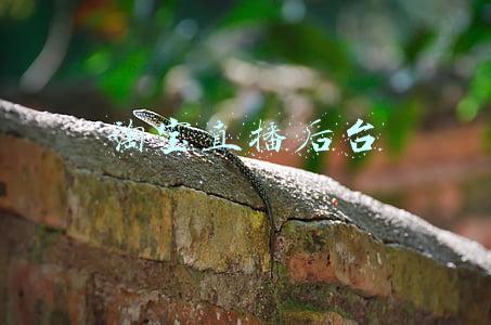 淘宝直播后台