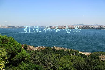 引流什么意思